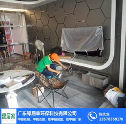 廣東綠居家 除甲醛公司 臺州除甲醛