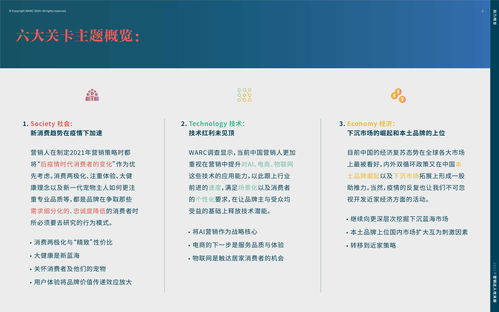2021年營銷達人策劃指南攻關冊 應對不確定性的實戰(zhàn)策略